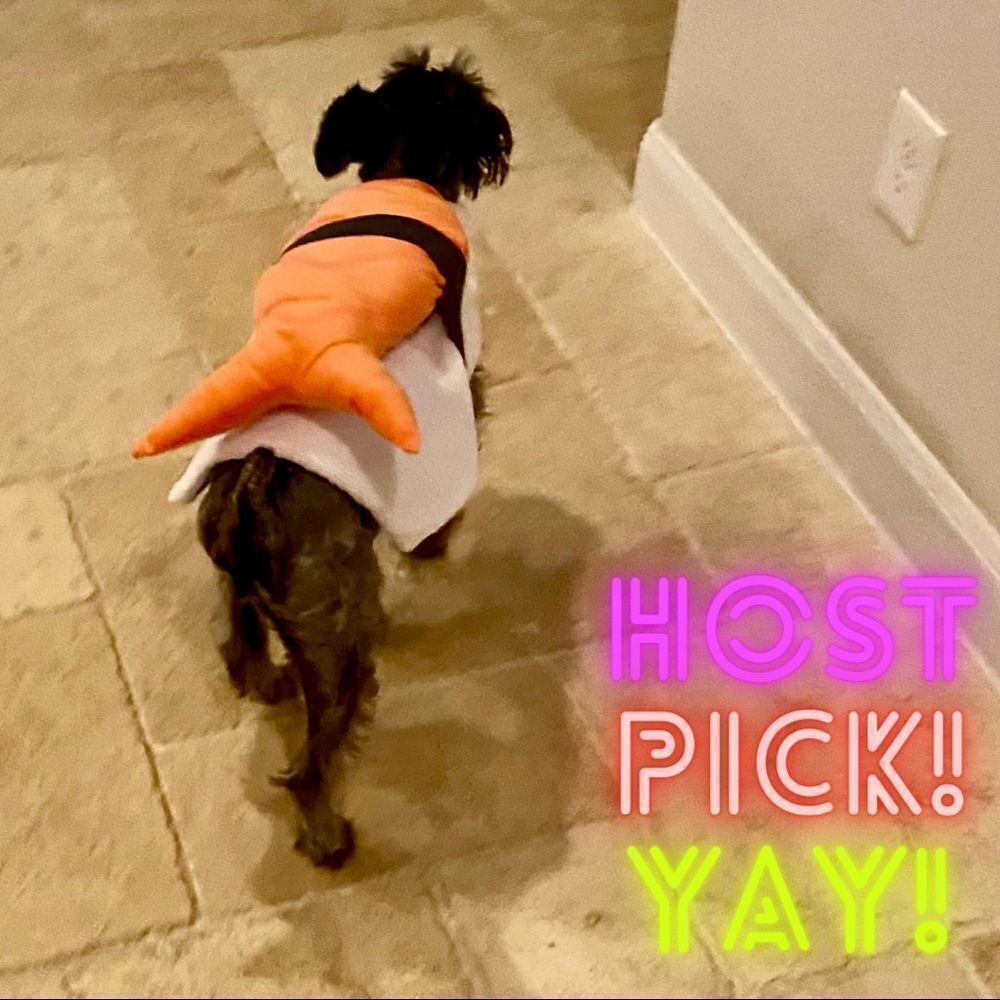 Rubie’s Sushi Halloween Dog Costume Size M
